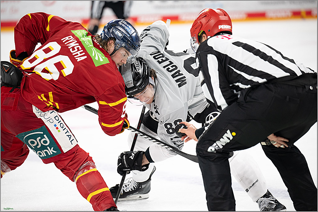 PENNY DEL; Duesseldorfer EG- Koelner Haie; Duesseldorf, 24.01.2025